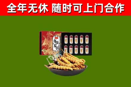 上饶市回收冬虫夏草价格